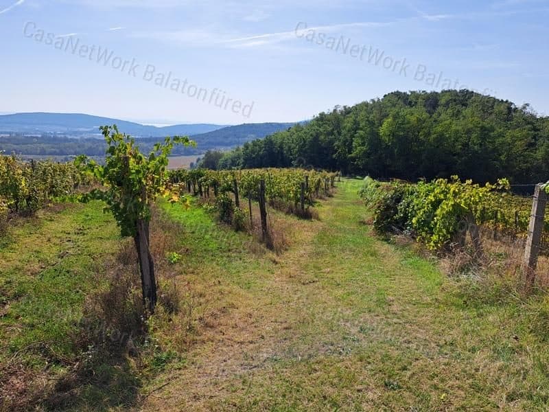 Kleingartengrundstück mit Panoramablick in Mindszentkálla