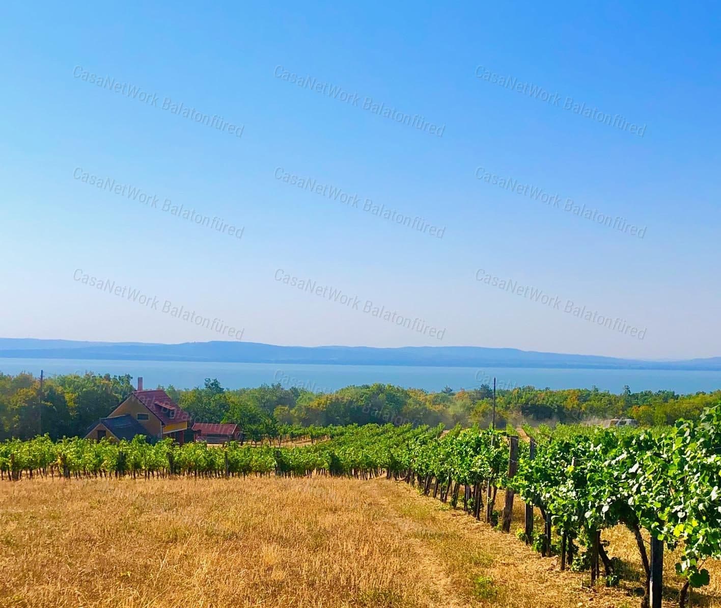 Bebautes Weinberggrundstück mit Balaton-Panorama in Balatonakali
