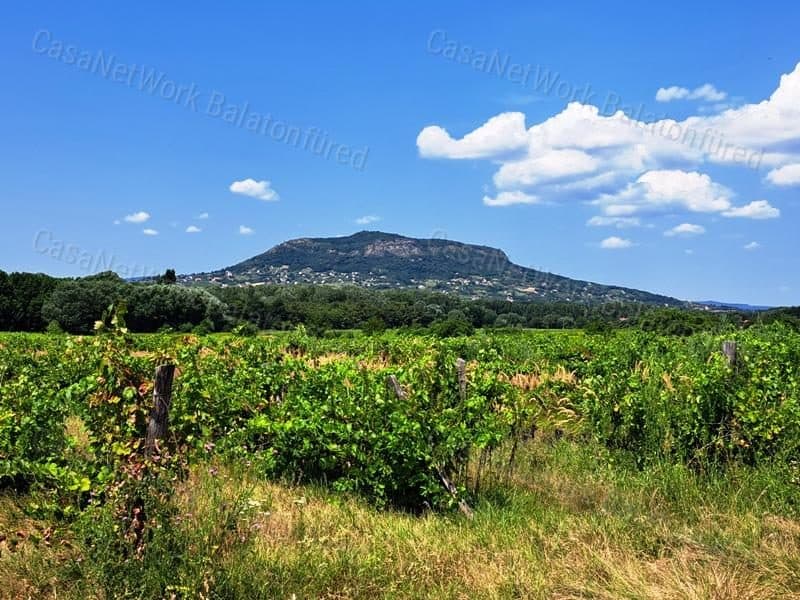Weinbaufläche in guter Lage in Nemesgulács