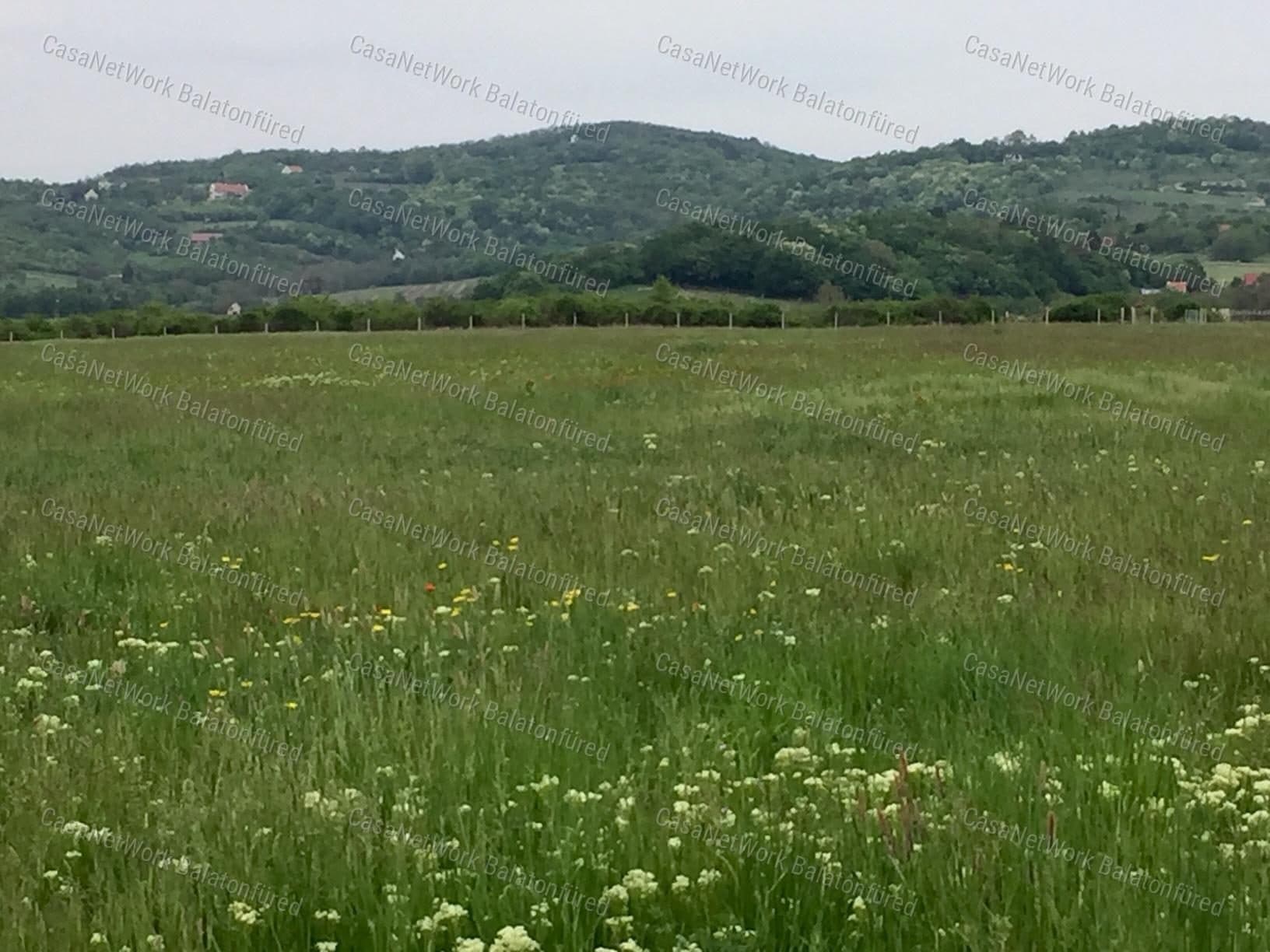 Landwirtschaftsfläche am Ortsrand