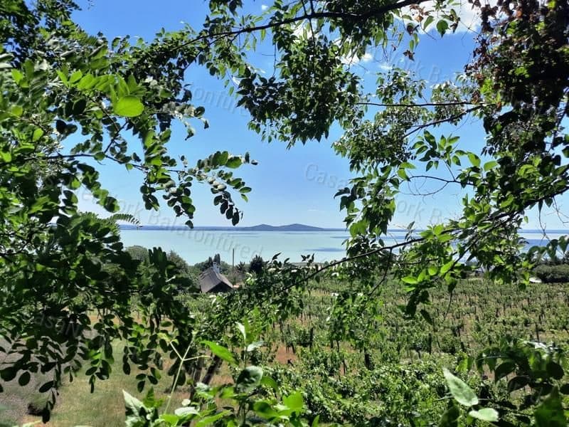 Panoramafläche - Obstland zu verkaufen in Badacsonytomaj