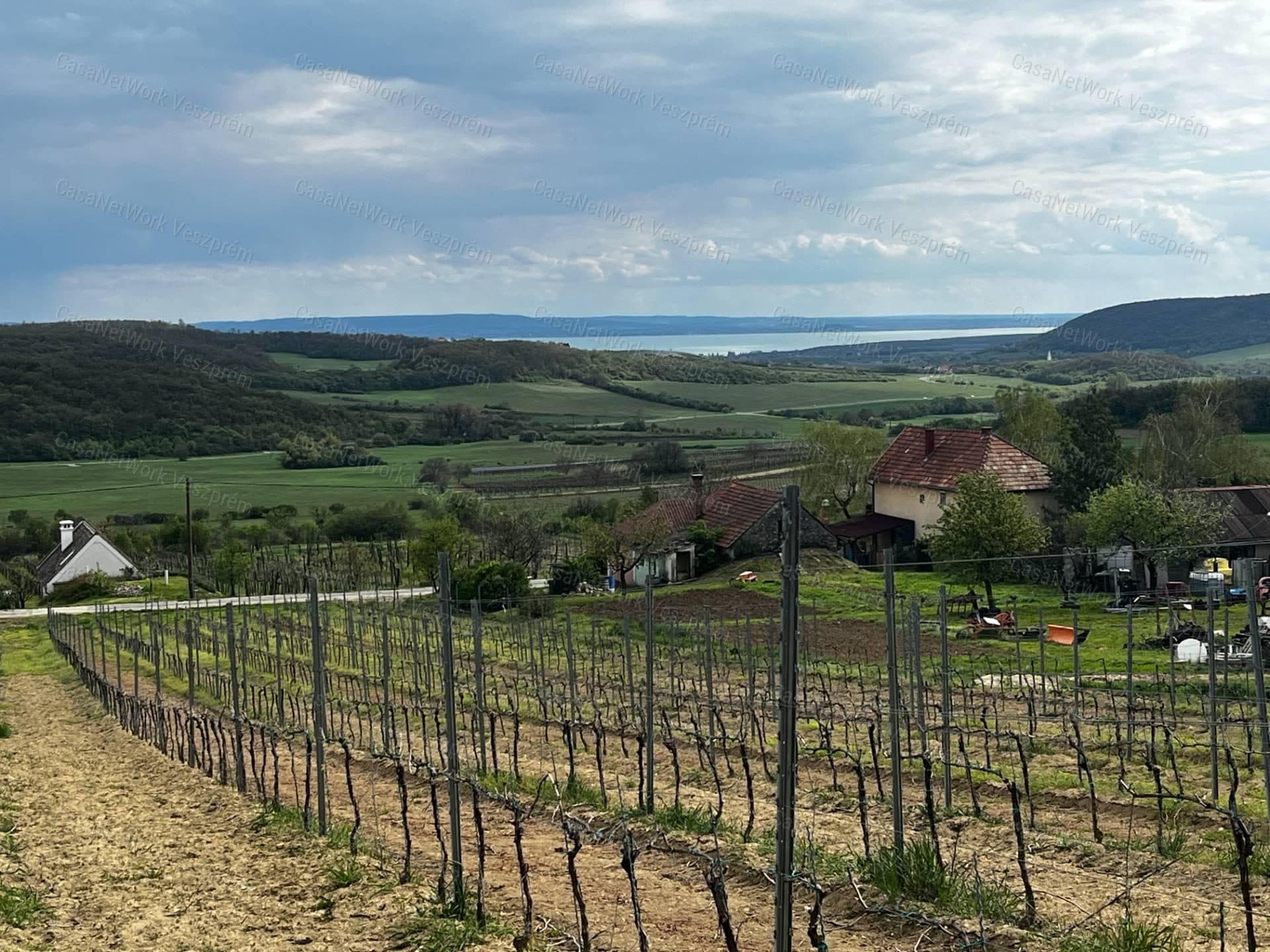 Weinberg mit Panoramablick in Óbudavár, 3989 m²