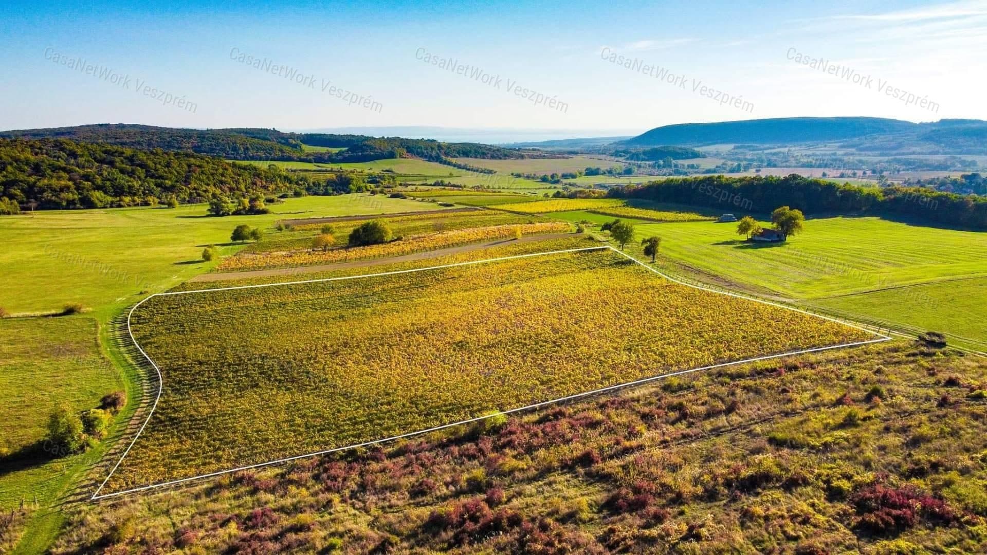 Baugrundstück mit Panoramablick in Óbudavár, 2,3 ha